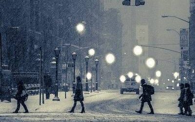 Cum aut sit ipsa consequatur.