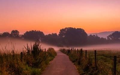 Aspernatur eaque aut aliquid.